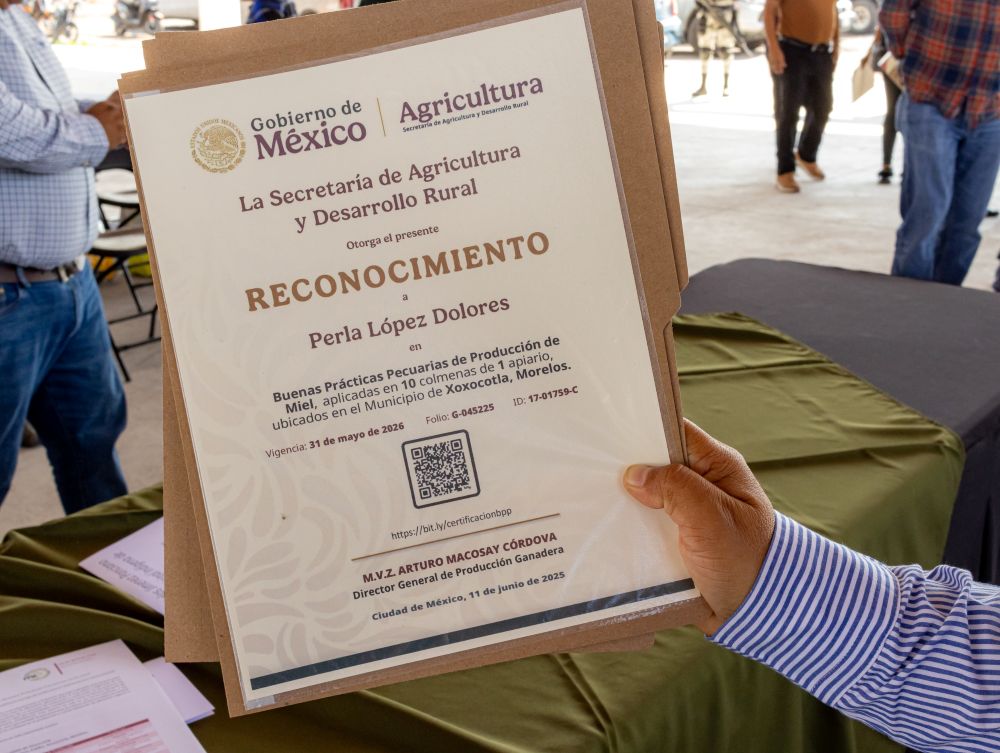 Fortalece Gobierno de Morelos capacidades del campo para impulsar Exportaciones Agroalimentarias