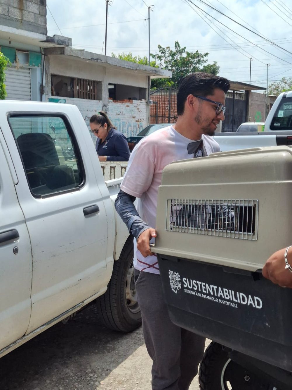 Amplía Gobierno de Morelos jornadas gratuitas de esterilización en favor del bienestar animal