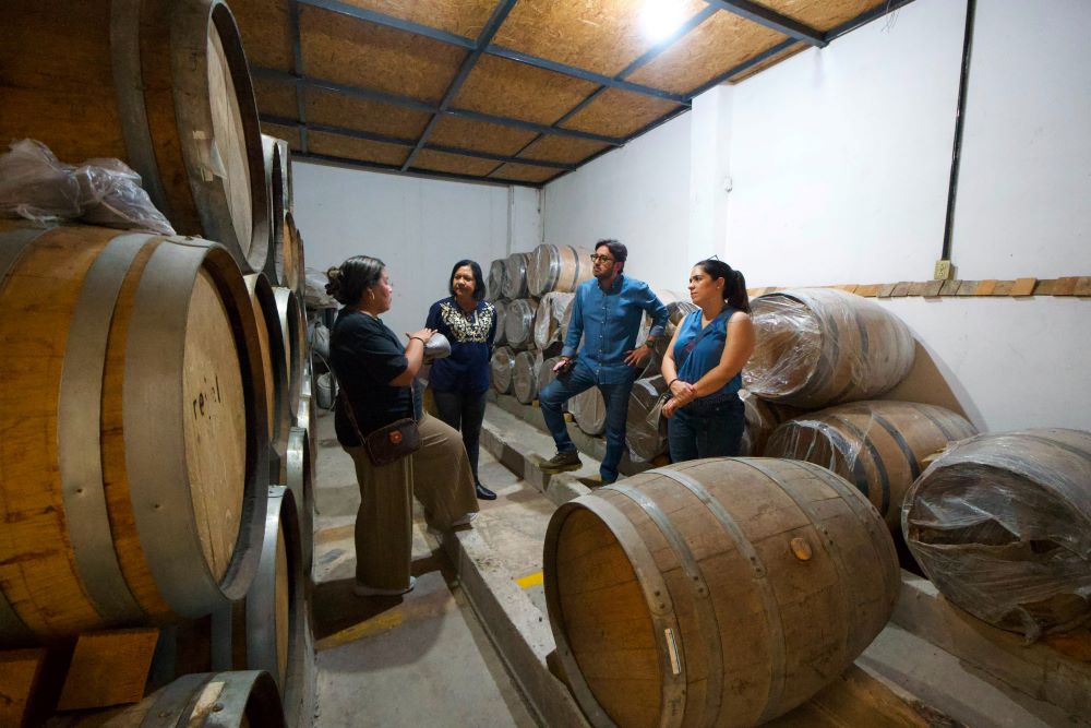 Proyecta Gobierno de Morelos ruta del agave y mezcal para fortalecer turismo y economía local