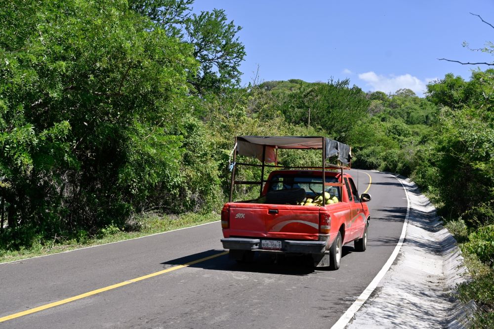 Del maguey al mercado, mejores caminos mueven la economía de Palpan