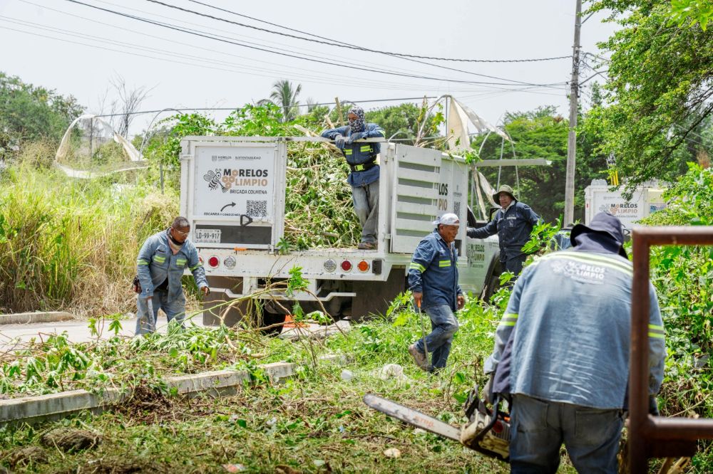 Fortalece Plan Cuautla educación ambiental y participación comunitaria