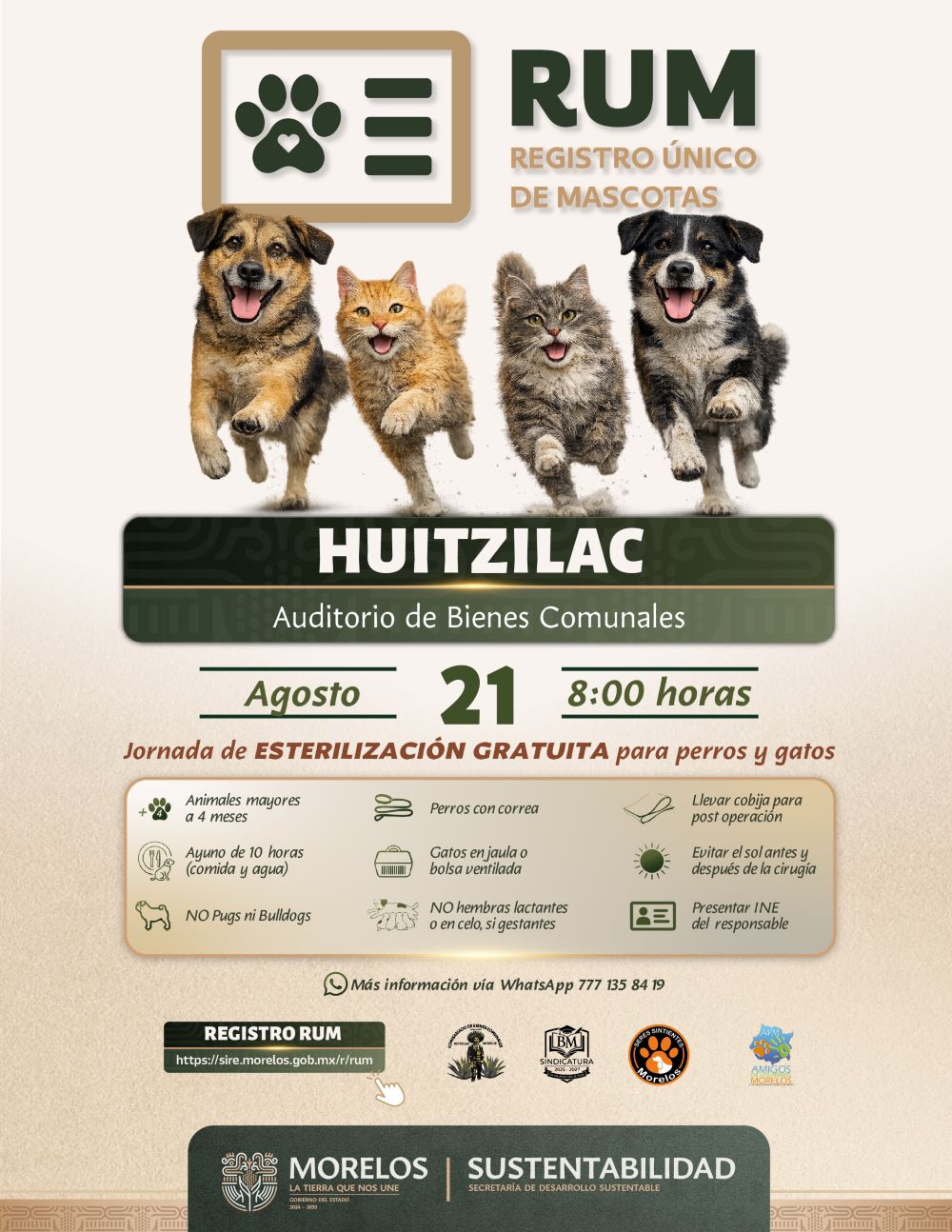 Lleva Gobierno de Morelos jornada gratuita de esterilización Huitzilac