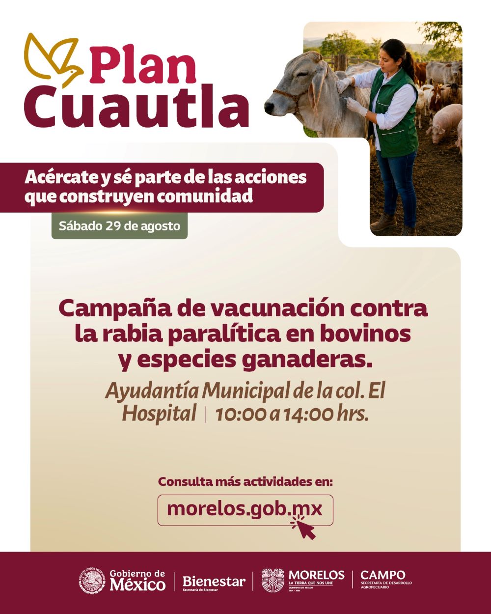 Efectuará Sedagro jornada gratuita de vacunación contra la rabia paralítica bovina en Cuautla