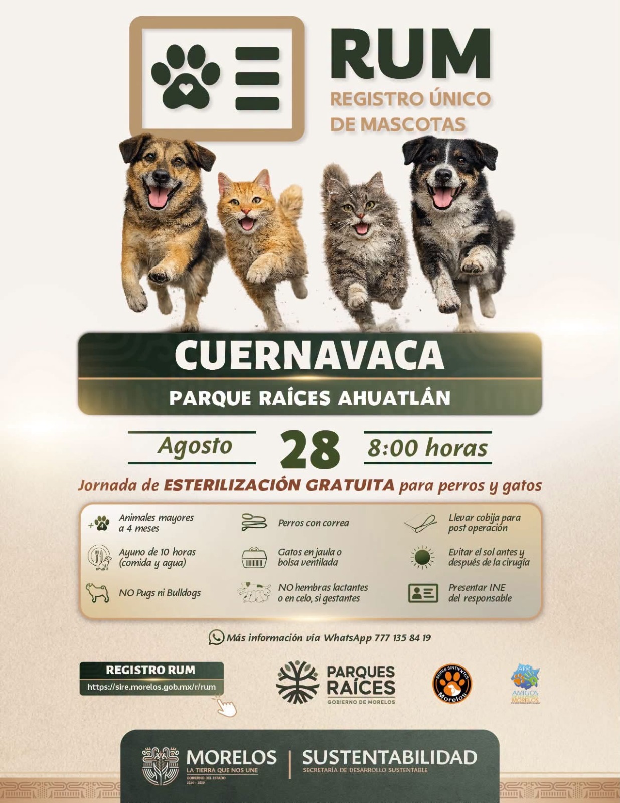 Lleva Gobierno de Morelos jornada gratuita de esterilización para perros y gatos a Lomas  de Ahuatlán
