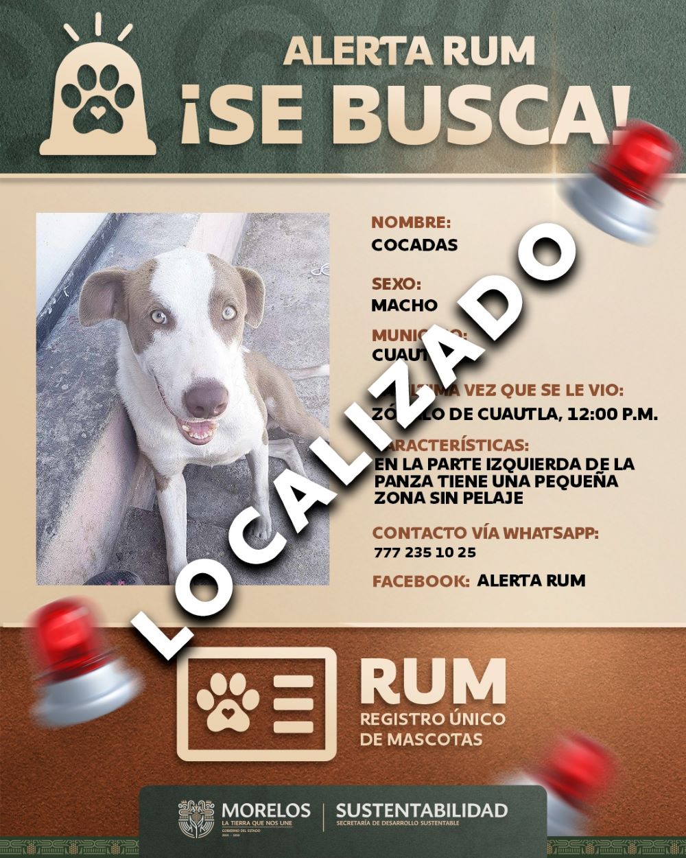 Facilita alerta RUM la búsqueda de mascotas extraviadas en Morelos