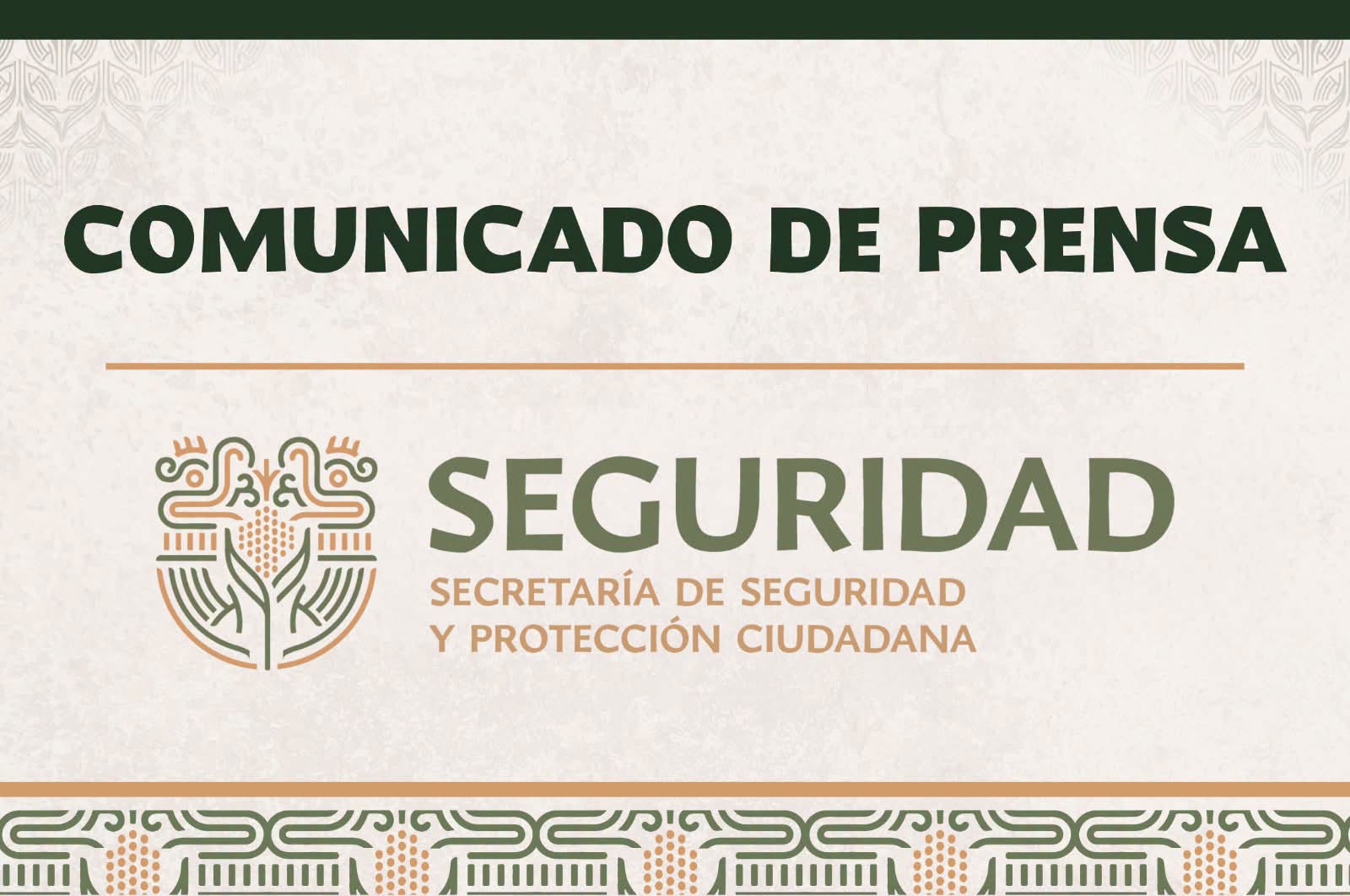 Comunicado de Prensa
