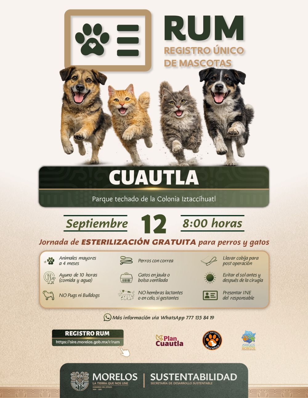 Ofrece Plan Cuautla esterilizaciones gratuitas para perros y gatos este sábado