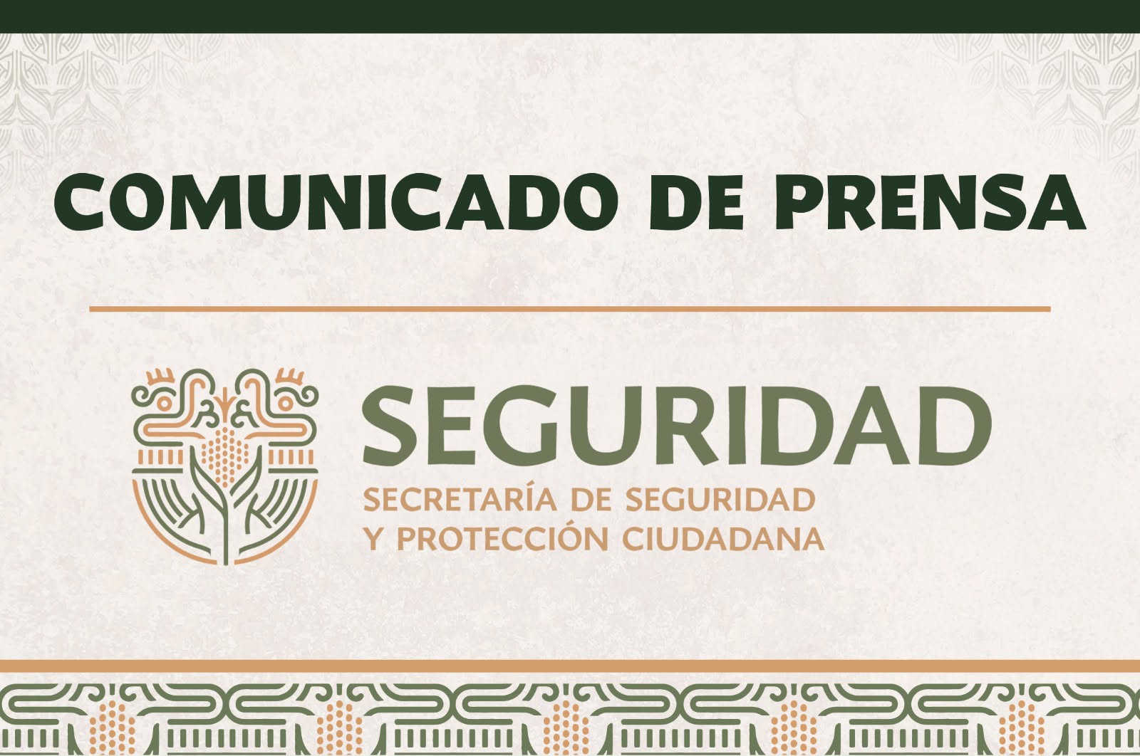 Comunicado de Prensa