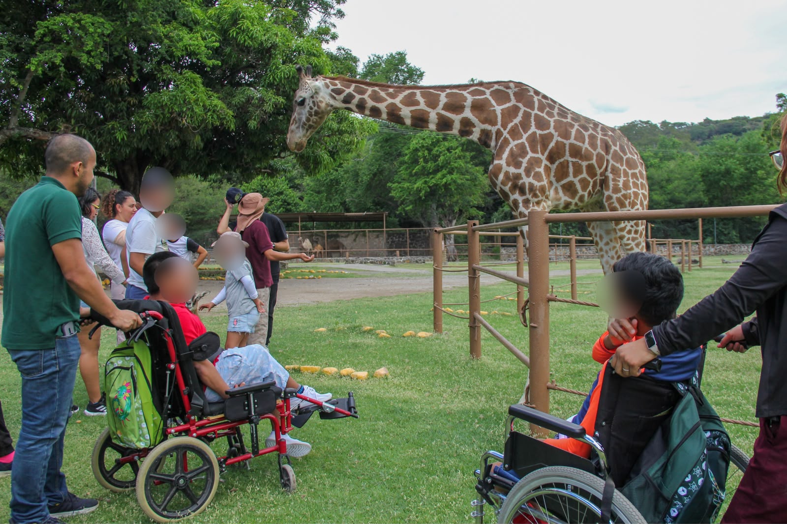 Disfrutan usuarios del Casodi una jornada de convivencia y contacto con la naturaleza en Zoofari