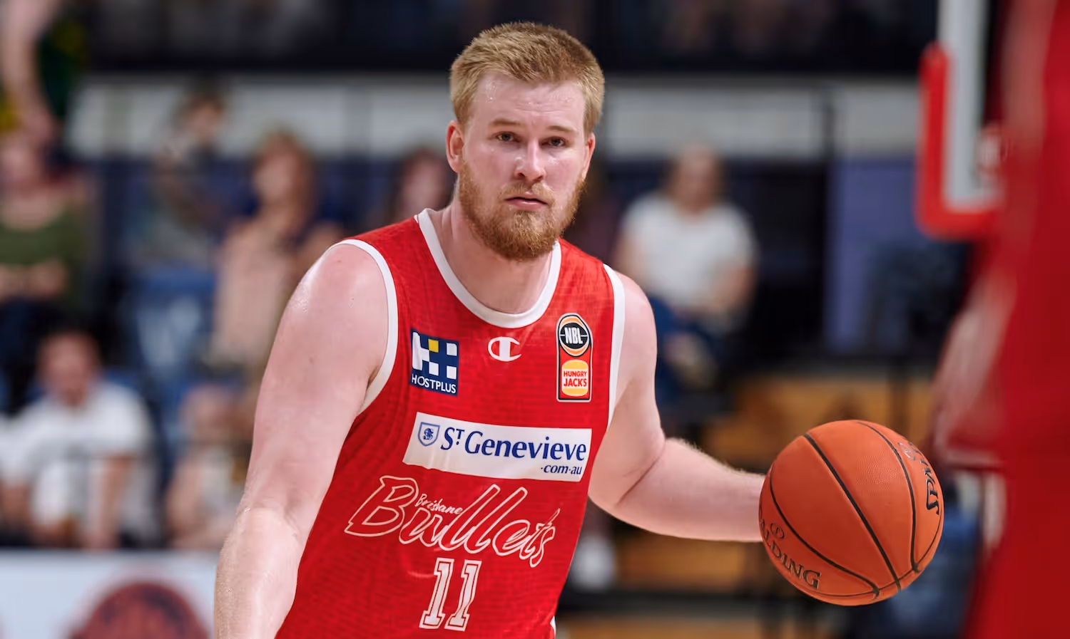 'Means the world': Harry Froling is back in the NBL