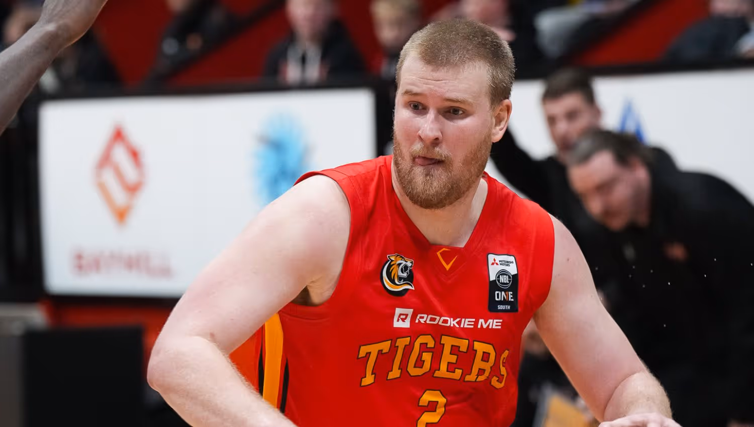 Duo bring Tigers back from brink of elimination