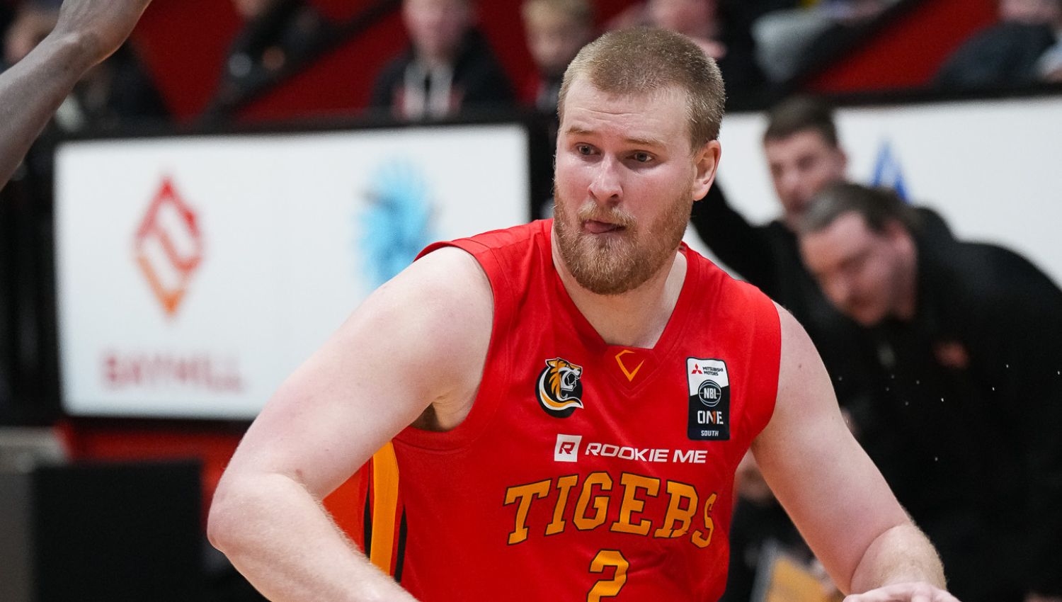 Duo bring Tigers back from brink of elimination