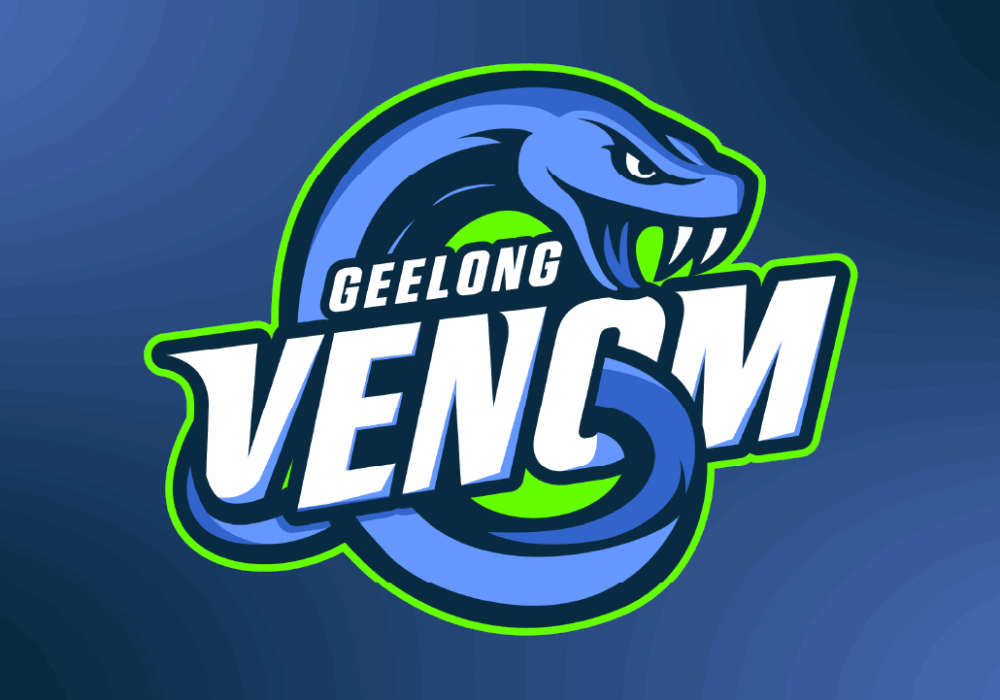Geelong Venom WNBL Profile: Five things you need to know