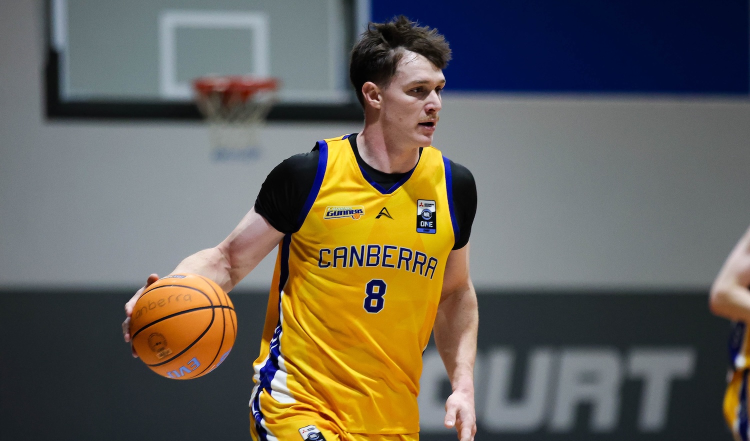 Twin 28-point outings 'Gun' down Hawks for title