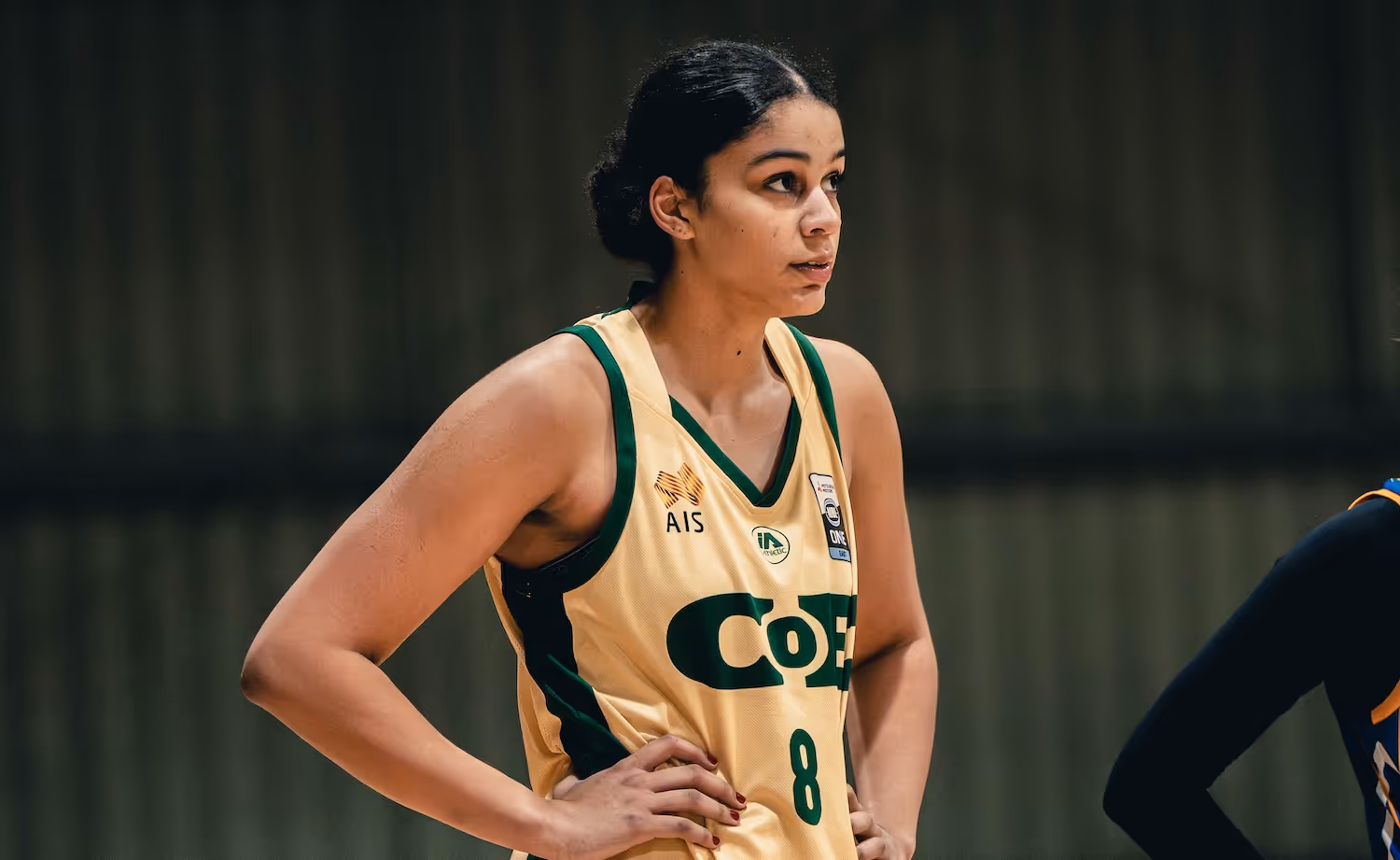 Meet Australia's '25-26 NCAAW Freshman class
