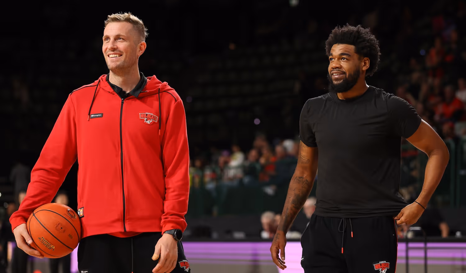 Patient off-season pays off for Perth Wildcats