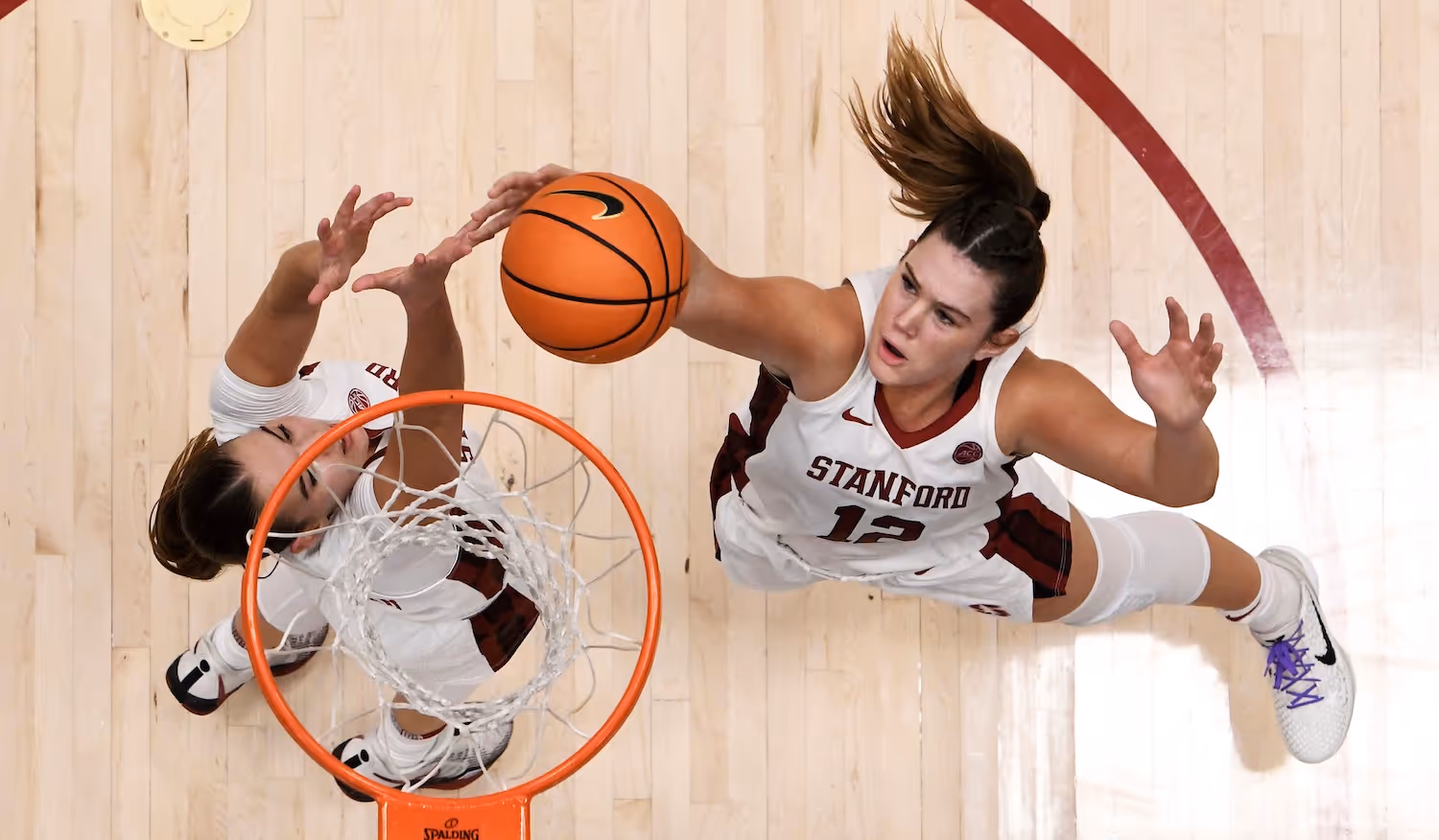 Somfai monsters Aussie rival Reddy's Lehigh