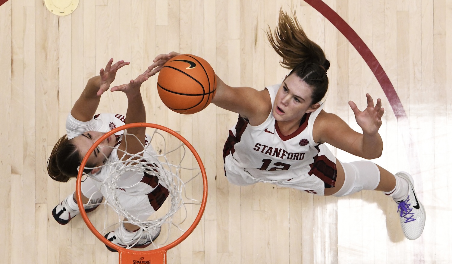 Somfai monsters Aussie rival Reddy's Lehigh