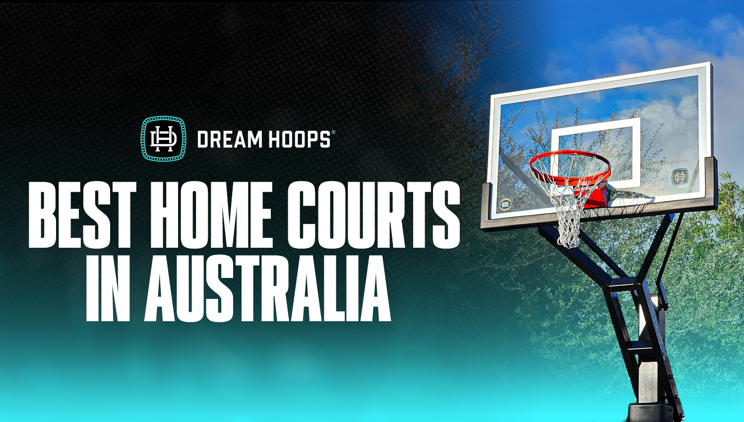 DreamHoops reviewed: What you need to know