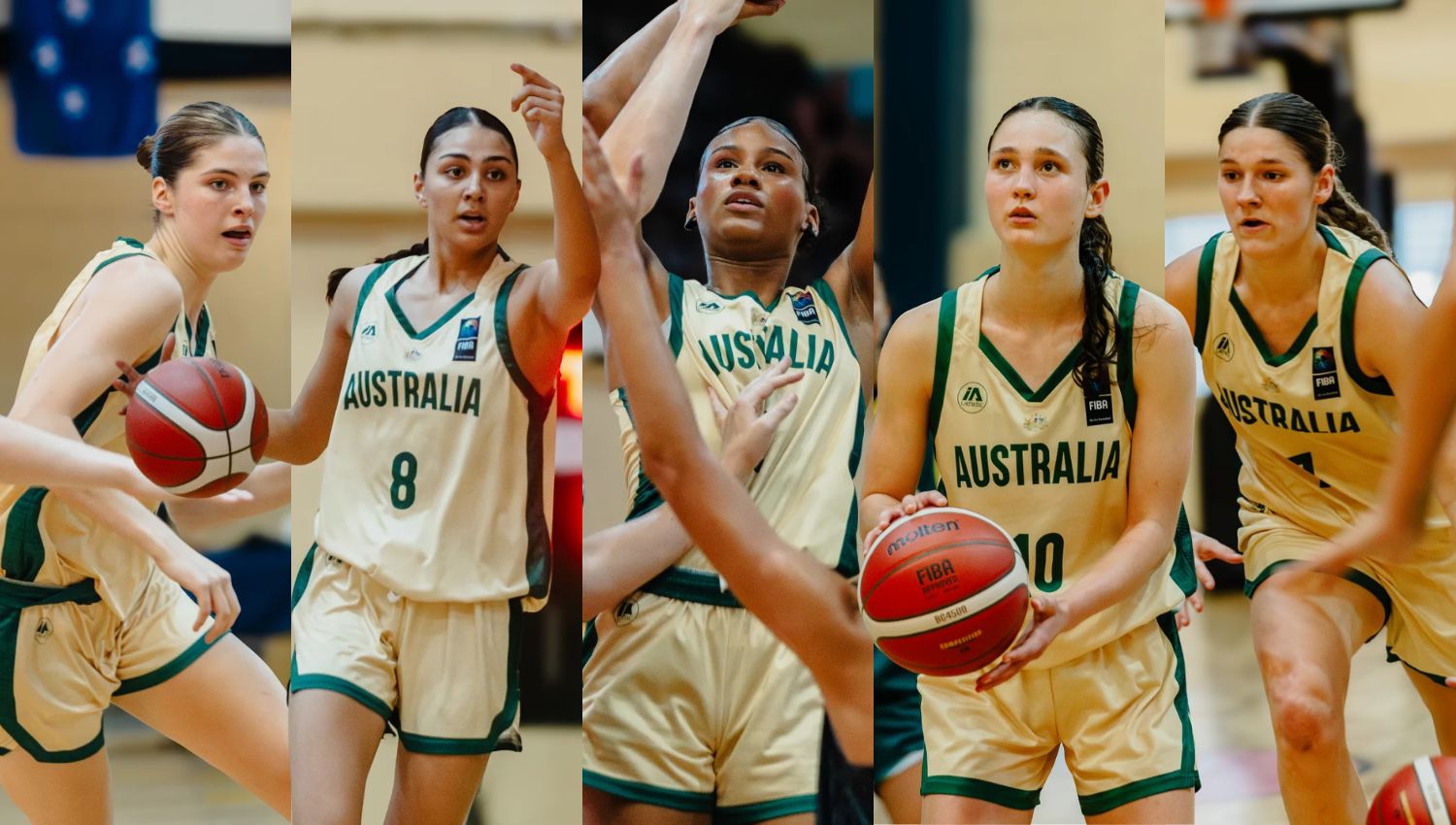 By the Numbers: Sapphires player snapshot