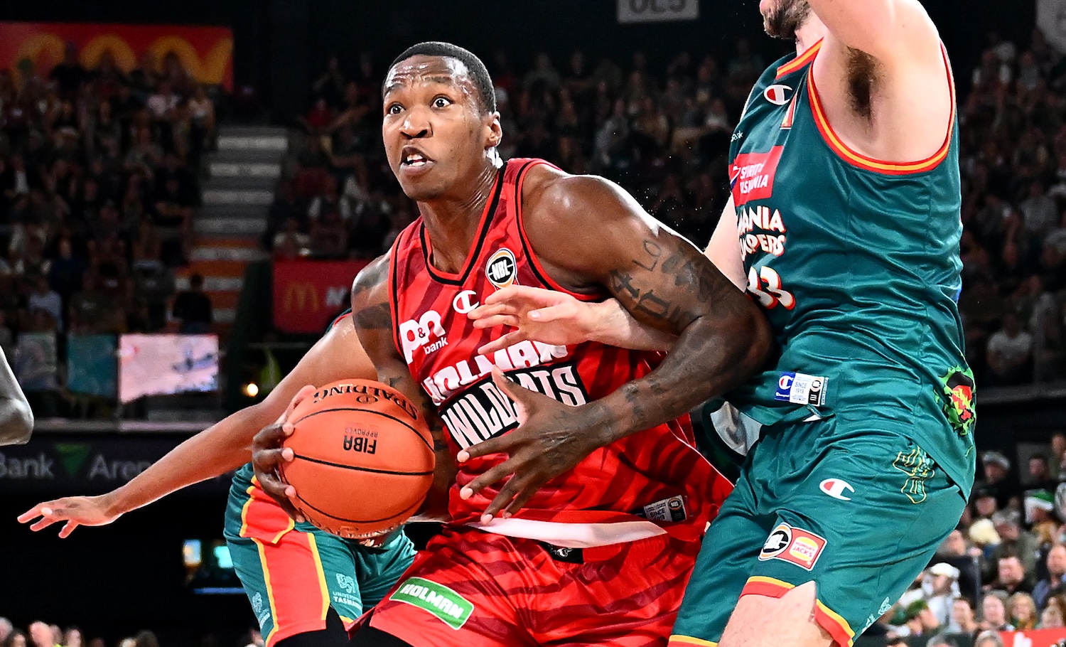 'Cats Kristian Doolittle goes on 30-point crusade 