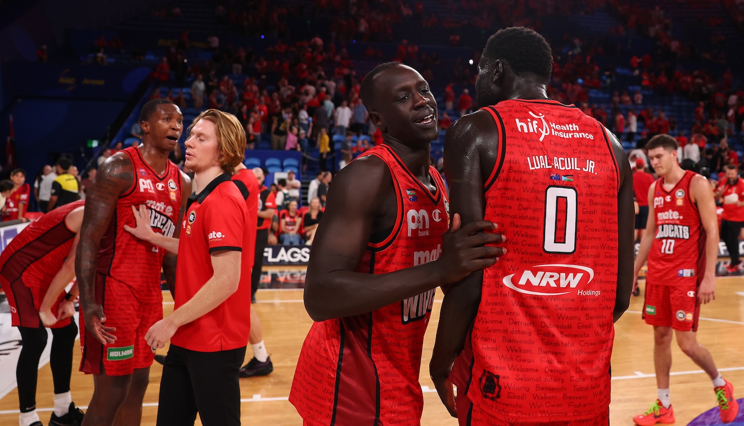 'Nothing to see here' except everything all at once