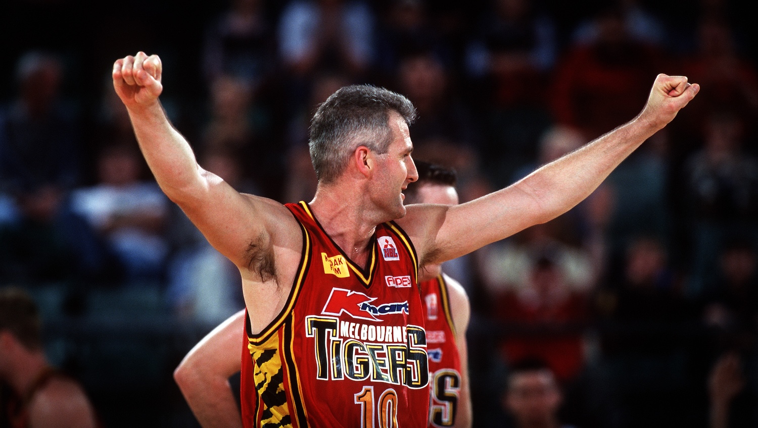 Complete history of every NBL player EVER!