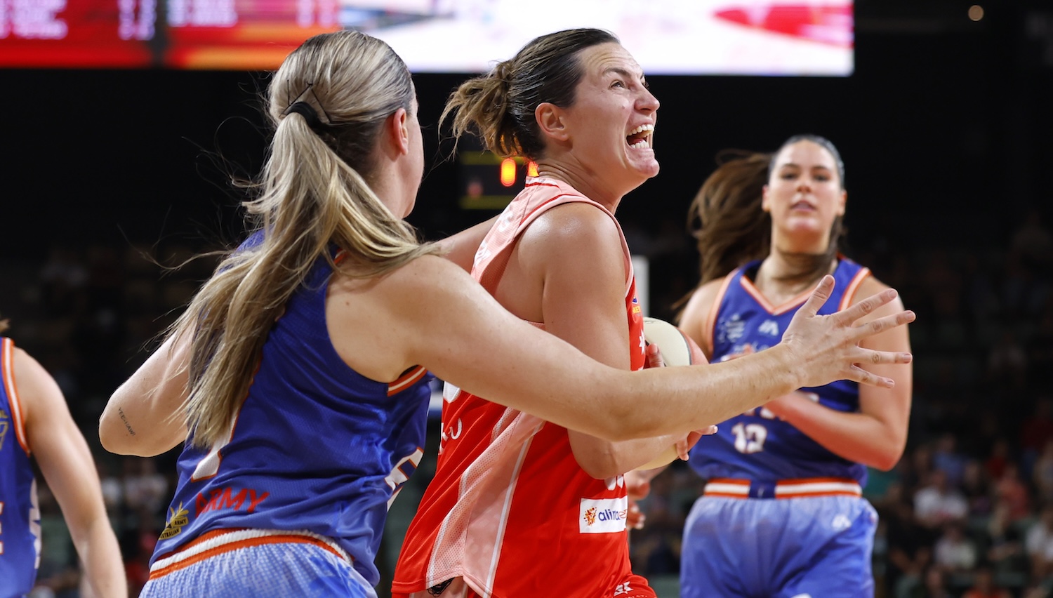 Haley Peters Perth Lynx