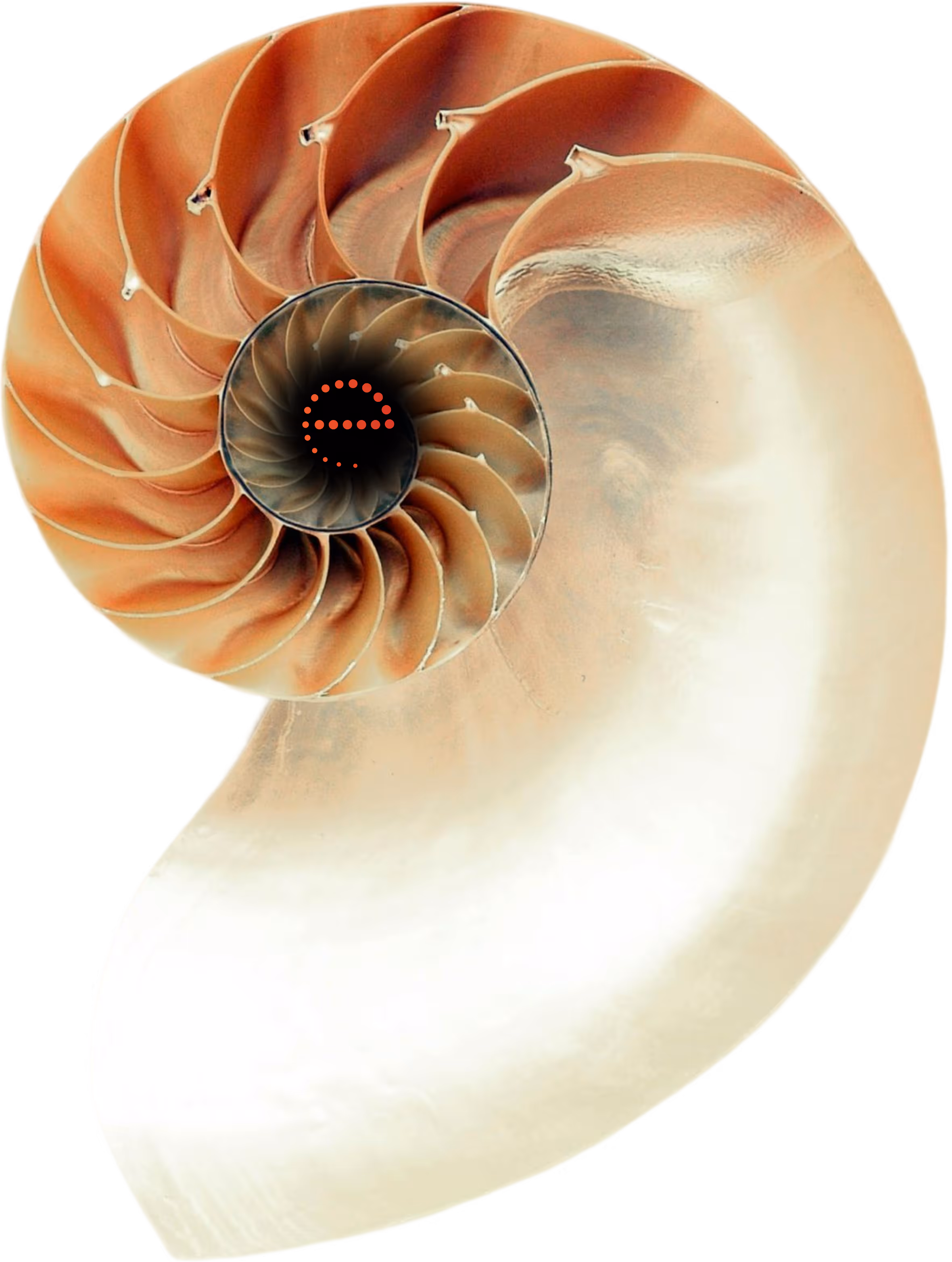 Circular image split horizontally; upper half shows golden rippling water surface, lower half shows close-up of textured golden skin or fabric.