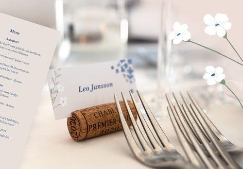 Picture of place cards and manu