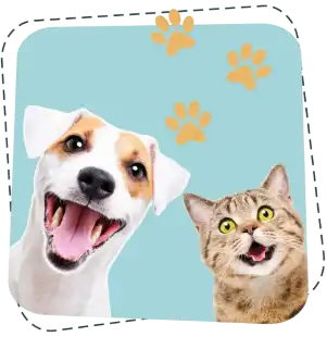cute dog and cat vet surgery london