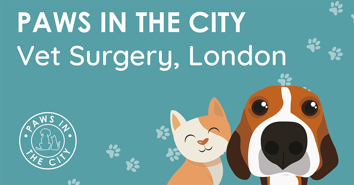 Veterinary Practice Grooming Services Paws in the City