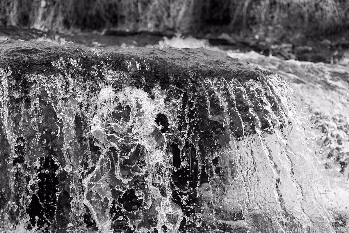 RadiusPoint vs Genuity: Which TEM Solution is Right for You?