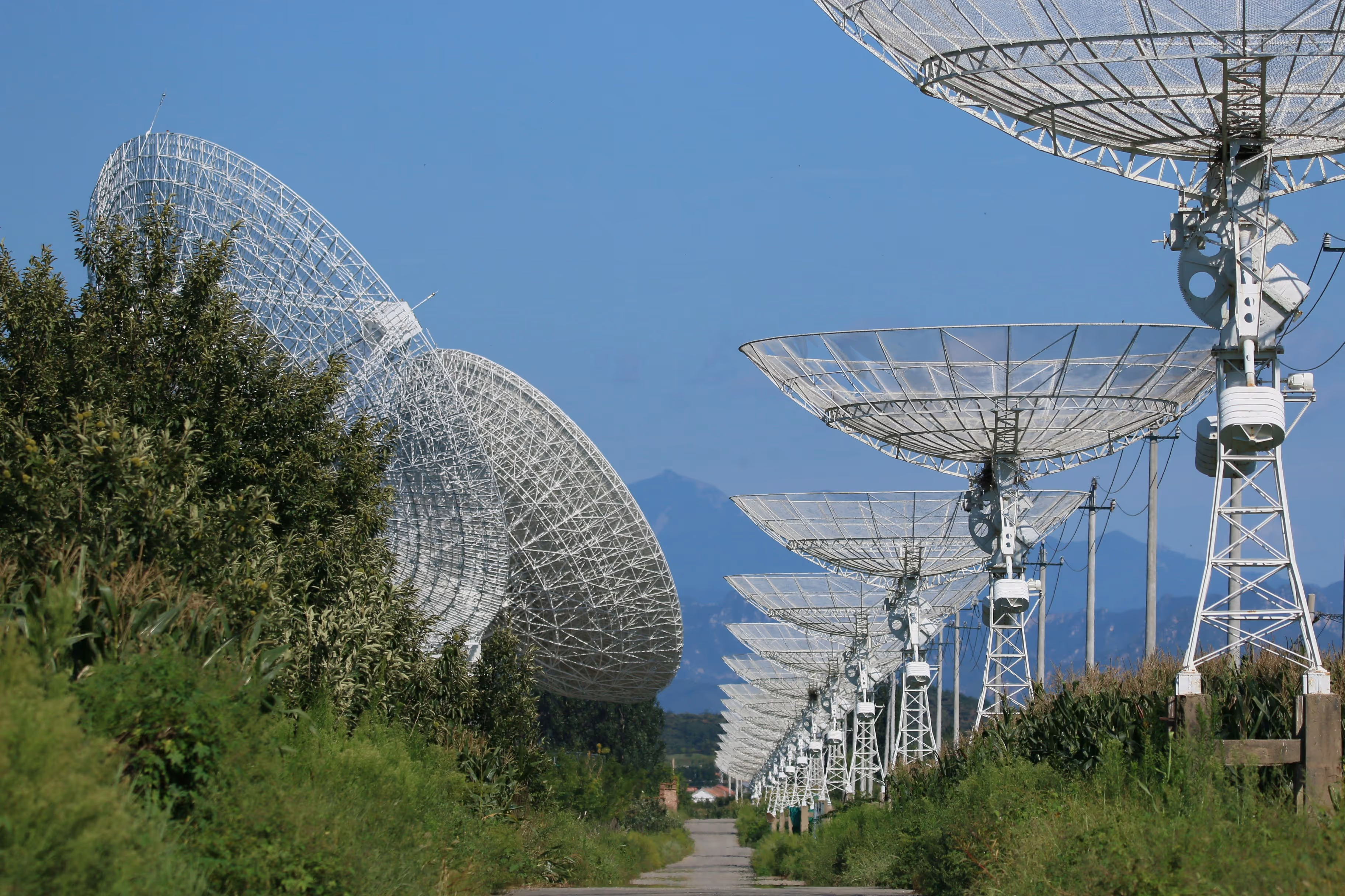 Top 10 Bluewater Control Alternatives in 2026