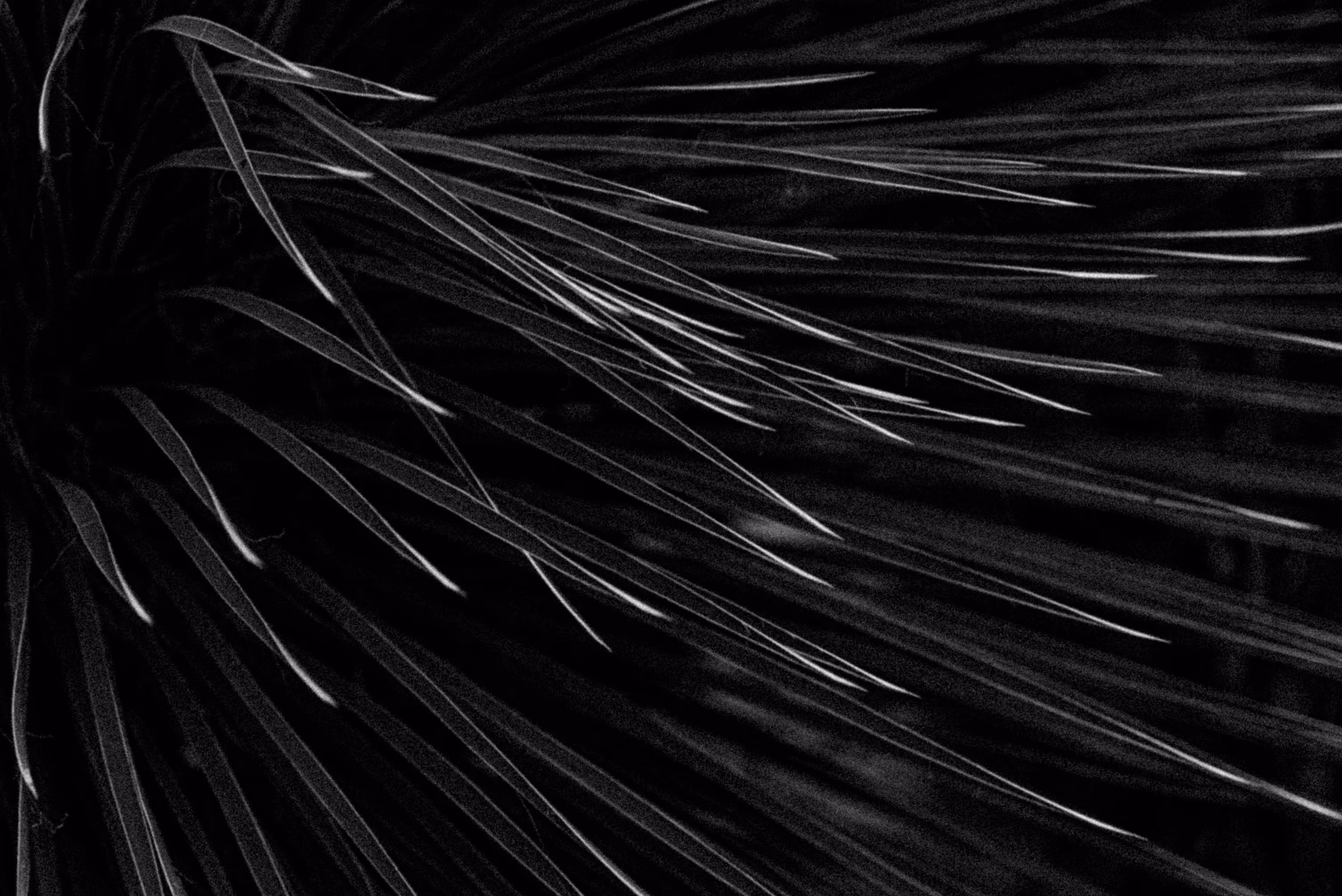  MPLS vs Dark Fiber