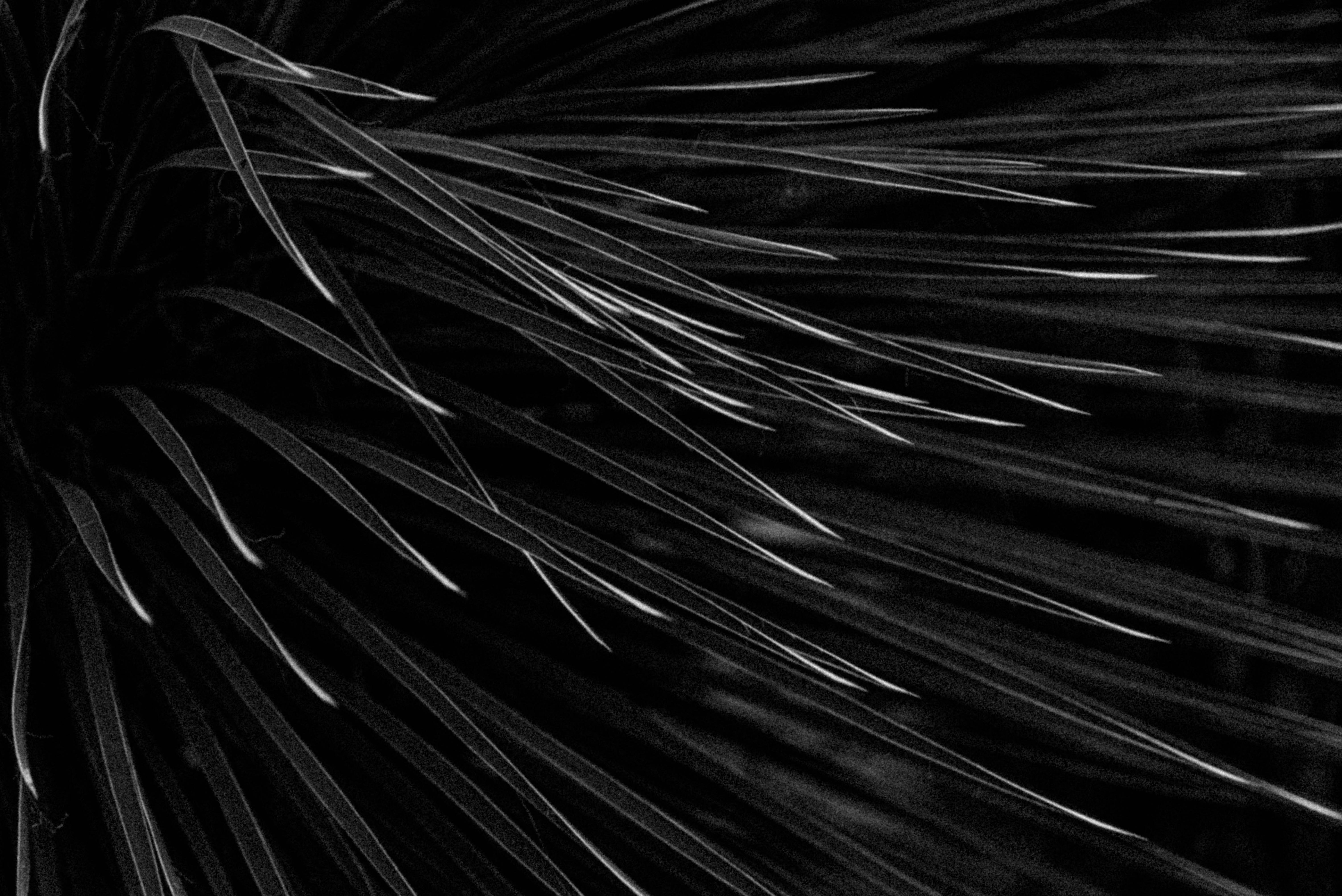  MPLS vs Dark Fiber