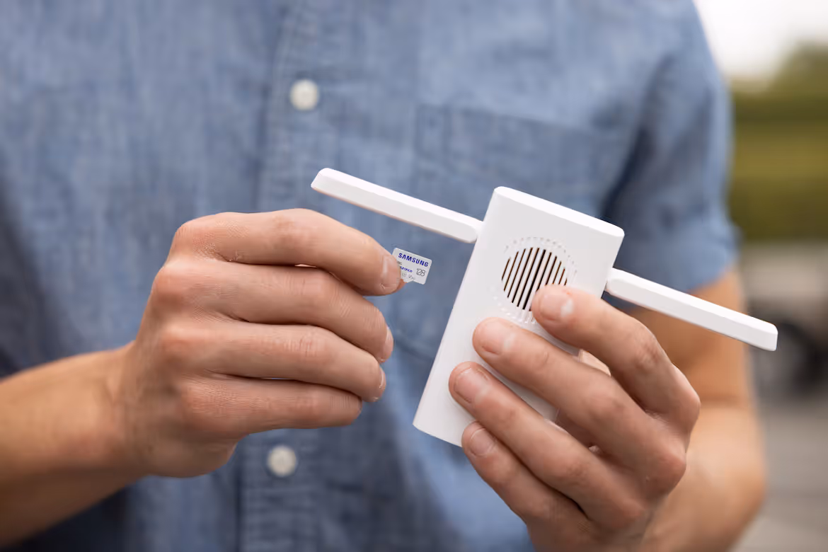 Router vs Switch: Differences for Enterprise Networks