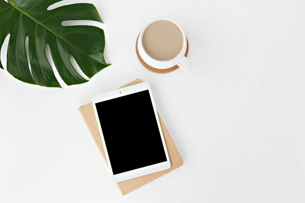 What is Secure Sockets Layer?