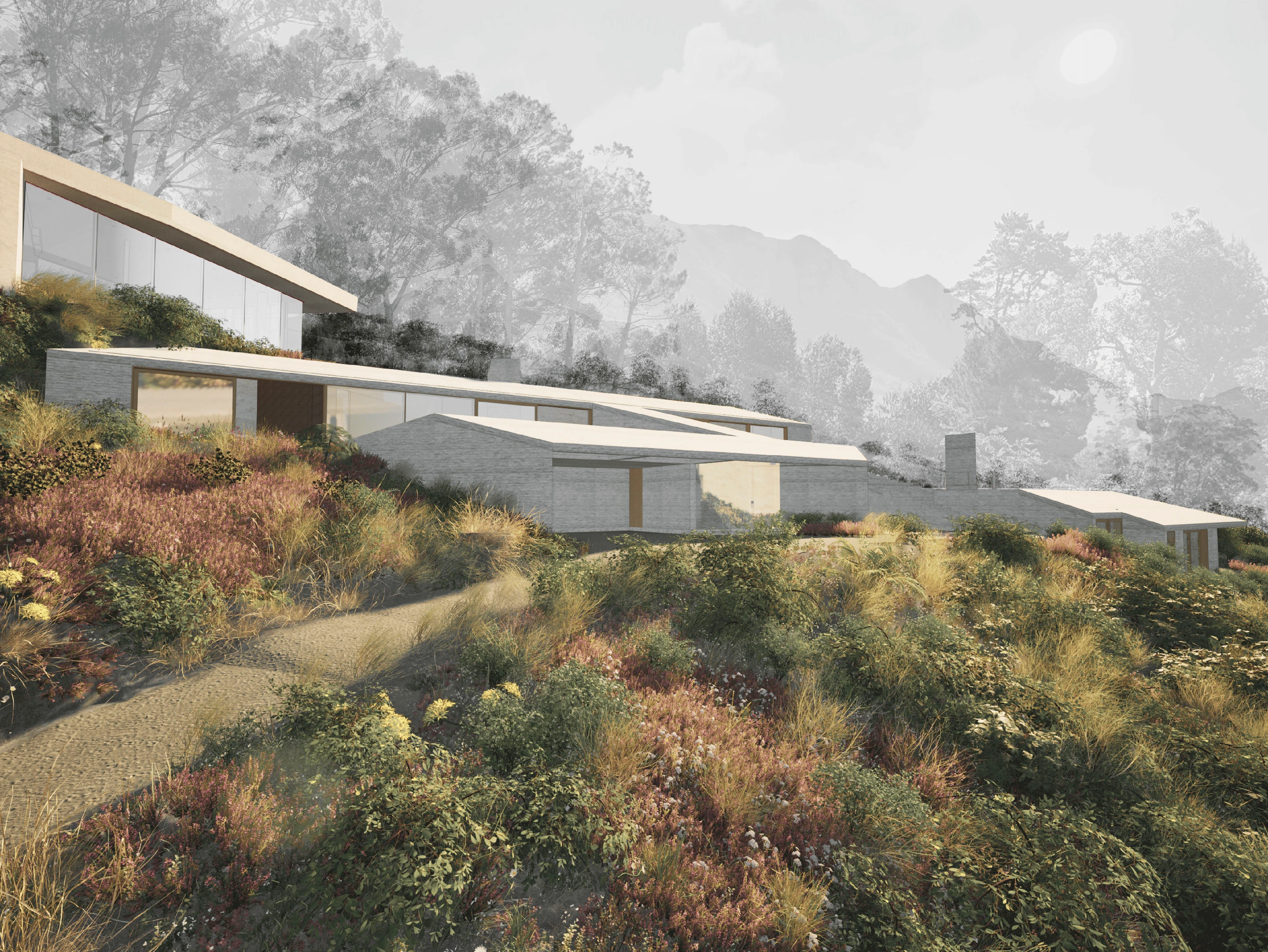 Modern hillside house with flat roofs surrounded by wild grasses and shrubs under a pale sky.