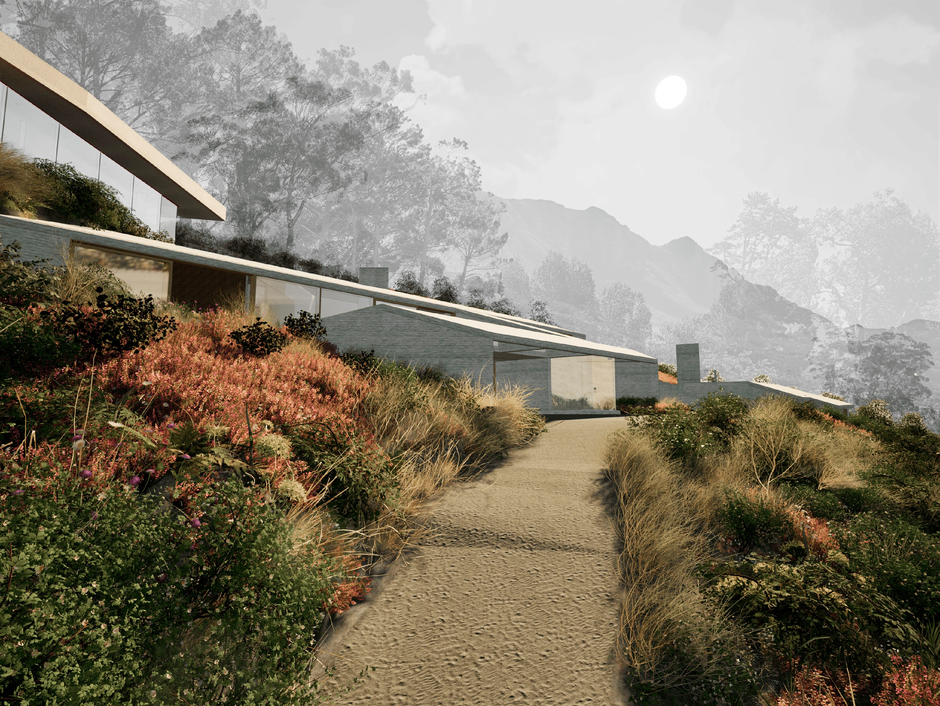 Modern hillside house with glass walls and a dirt path surrounded by wild plants and flowers.