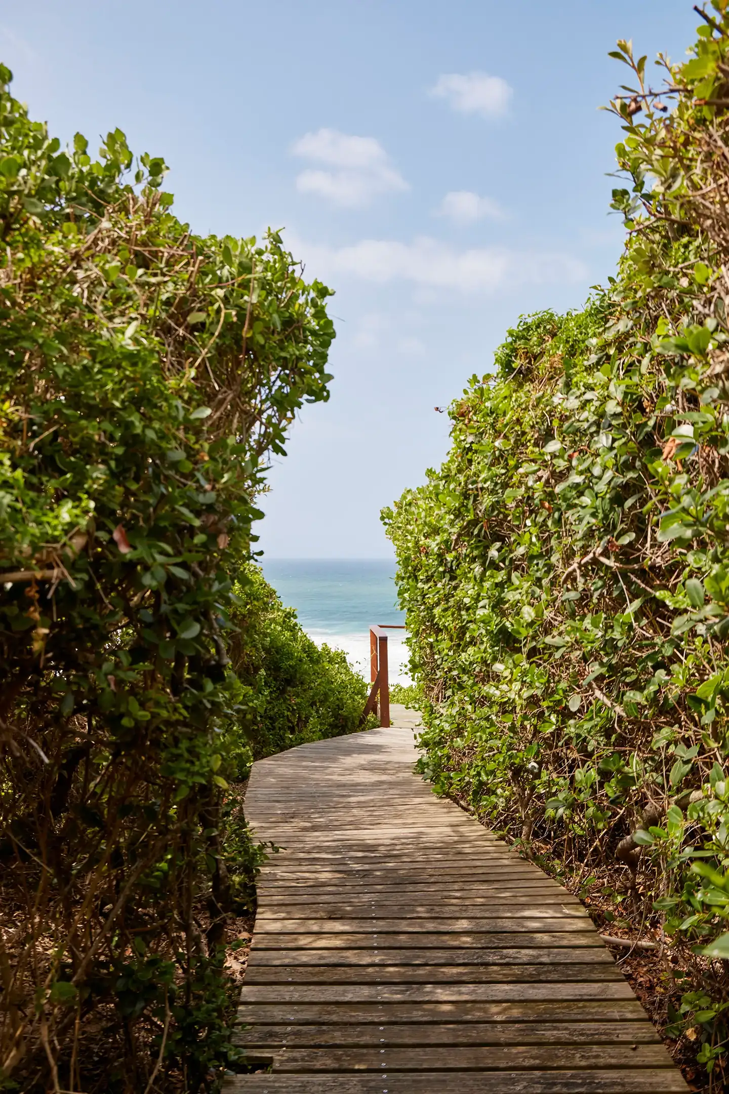 Wooden boardwalk between green bushes leading toward the ocean under a blue sky.