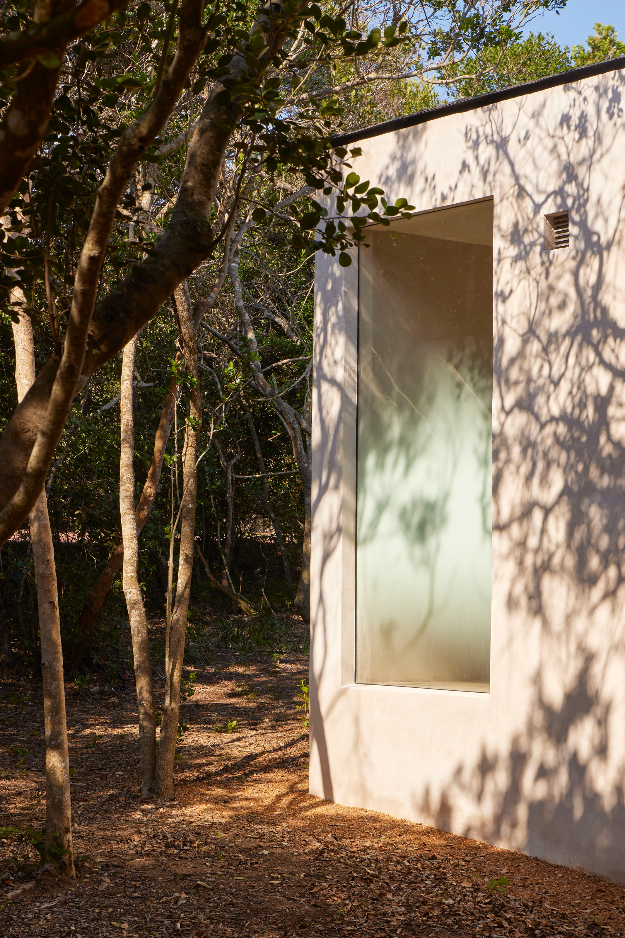 Minimalist window on a light-colored wall with tree shadows in a sunlit forest setting.