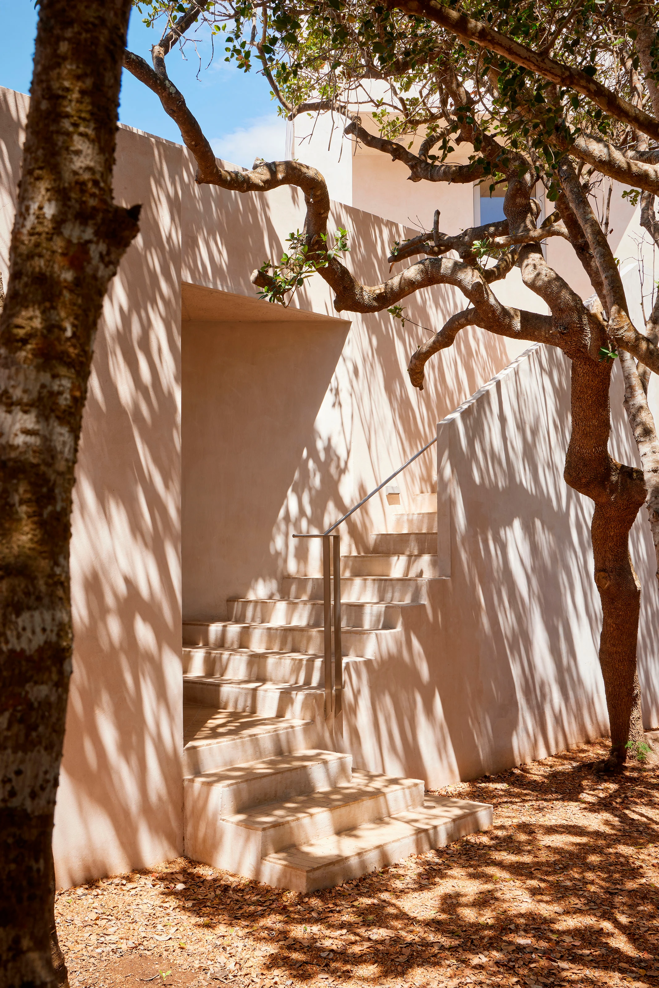Sunlit beige outdoor stairs with metal handrail beside a tree casting leafy shadows.