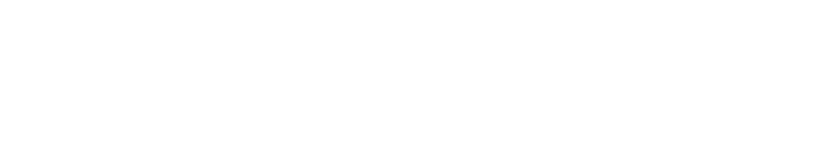 magnuschool logo