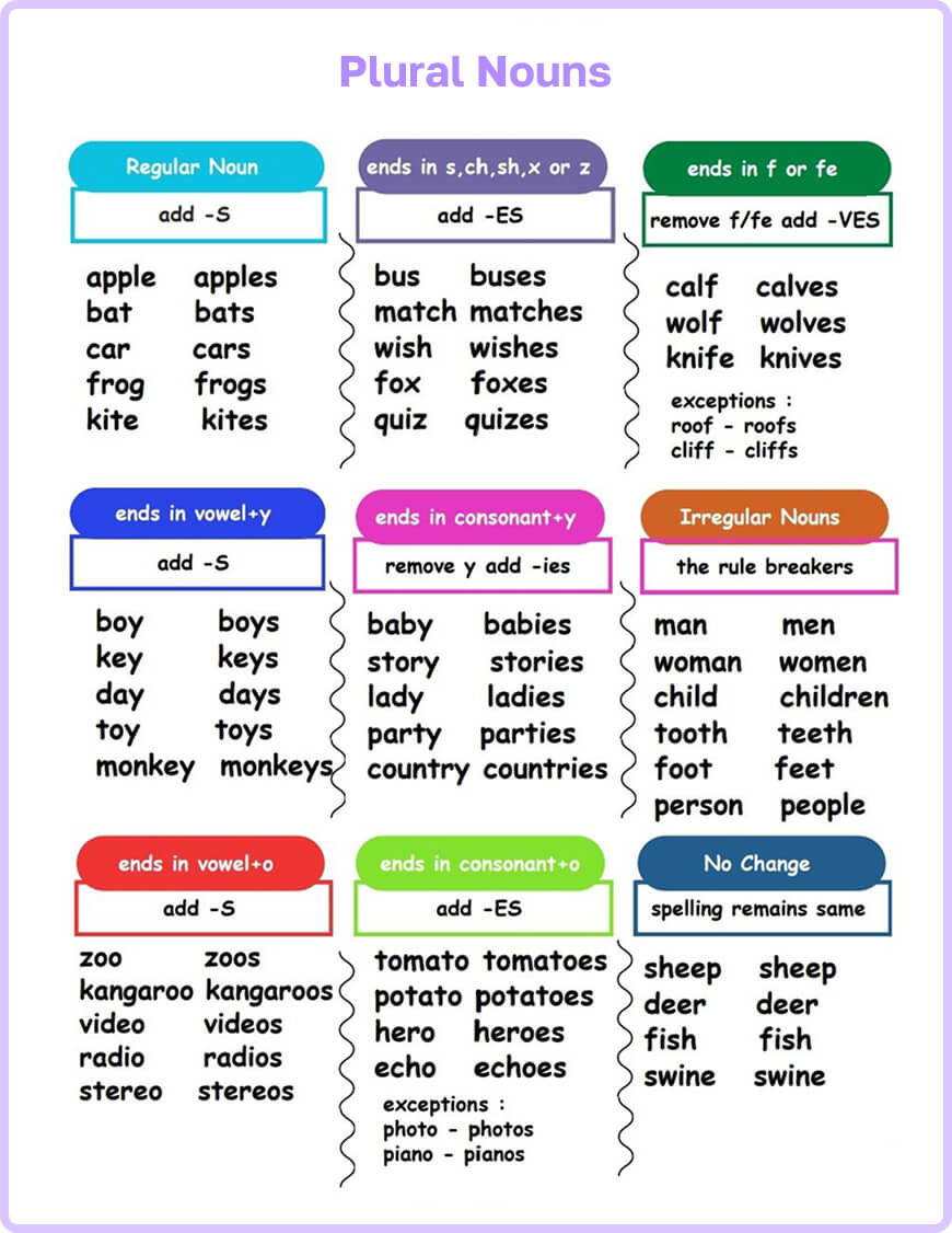 Chart of English plural rules including regular and irregular cases such as mouse to mice.
