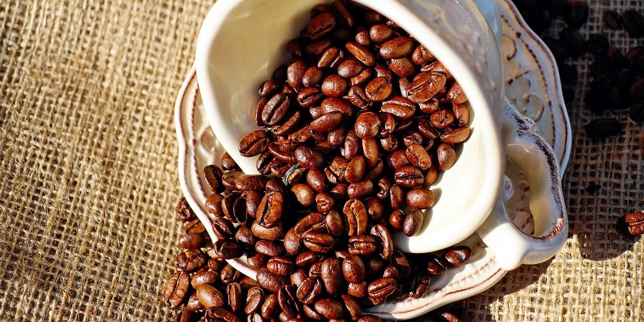 grains de café dans une tasse renversée