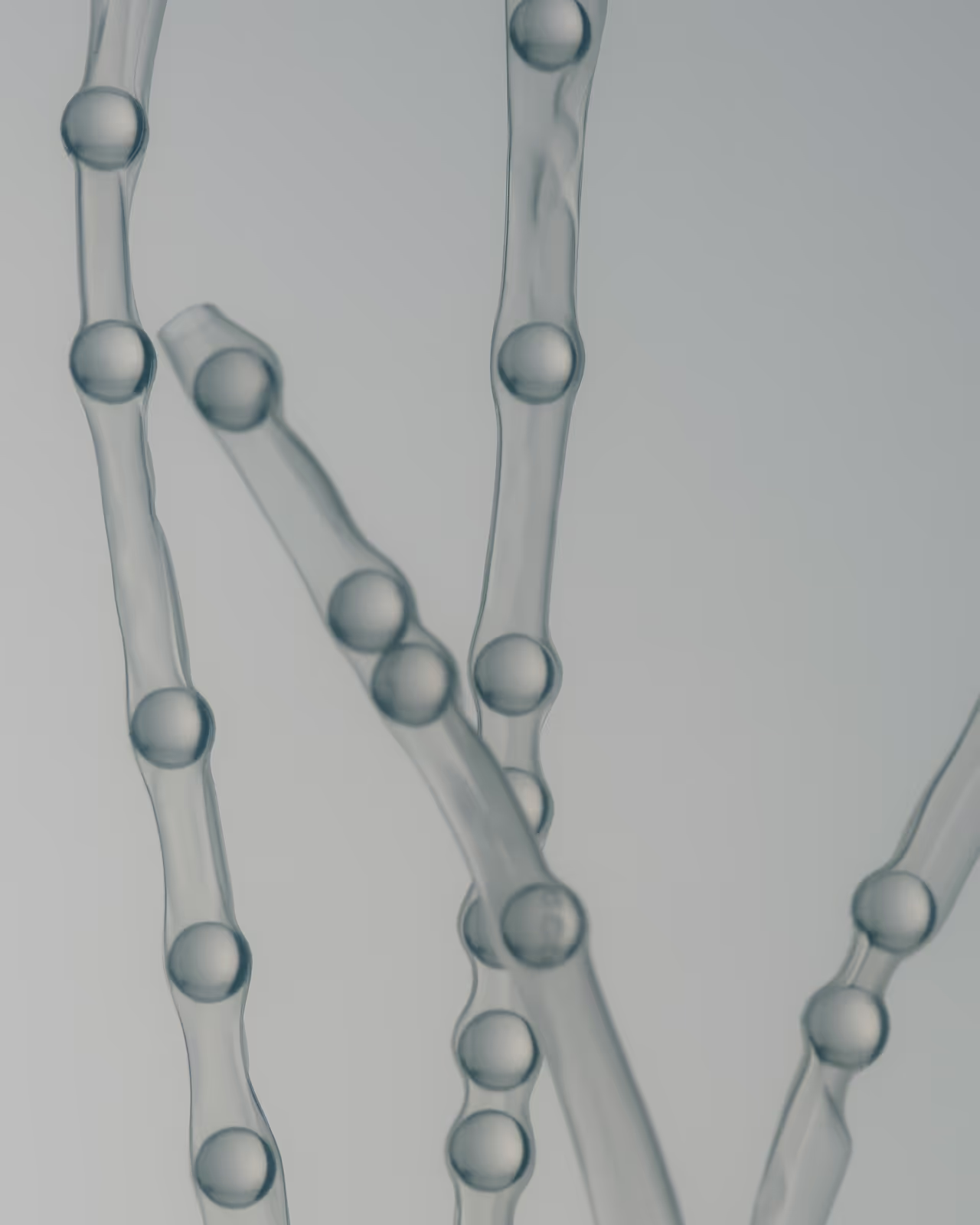 Vue microscopique de structures cellulaires impliquées dans la compréhension des mécanismes de l'alopécie et la recherche de solutions.