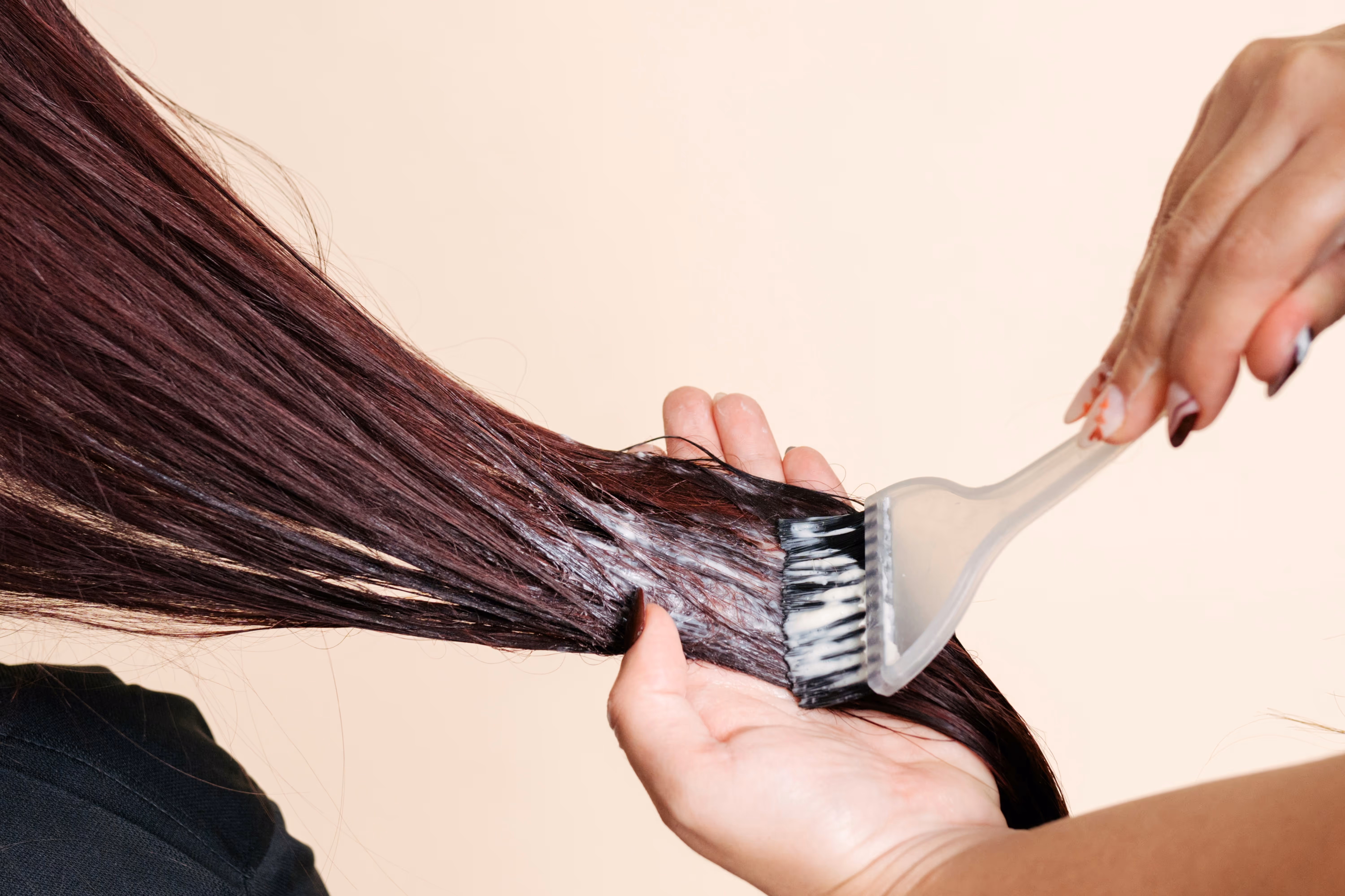 Application de produit décolorant sur des cheveux bordeaux longs à l'aide d'un pinceau de coiffeur pro.