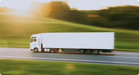 Worked with Papa to Cure Elderly Loneliness.