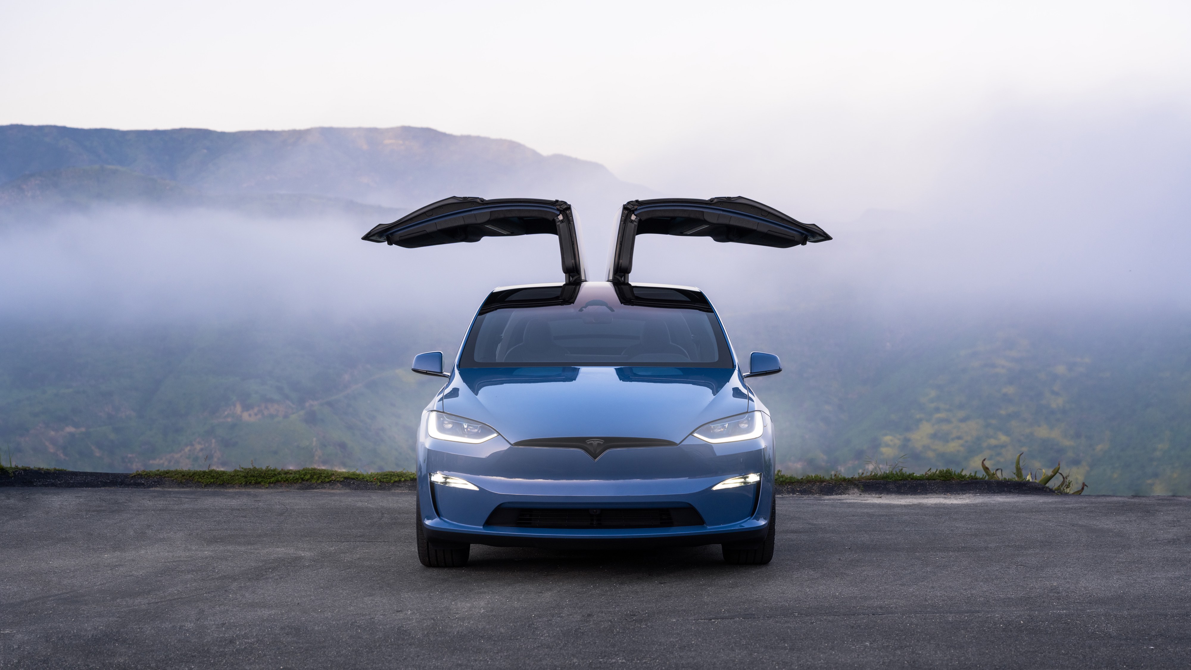 blauer Tesla mit offenen Türen
